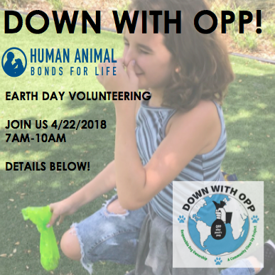 Looking to volunteer on Earth Day?